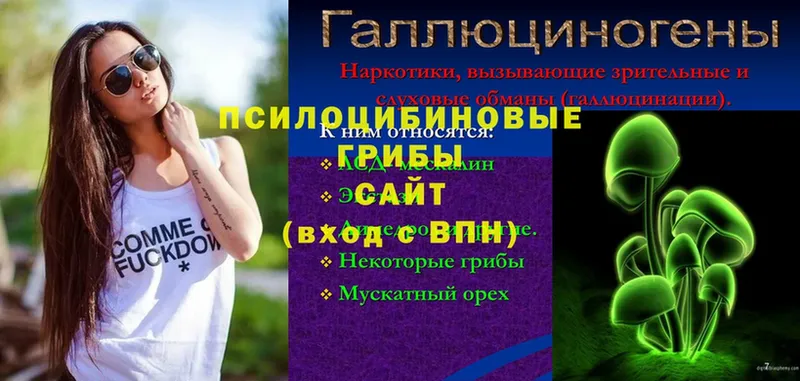 купить  цена  Билибино  Псилоцибиновые грибы ЛСД 